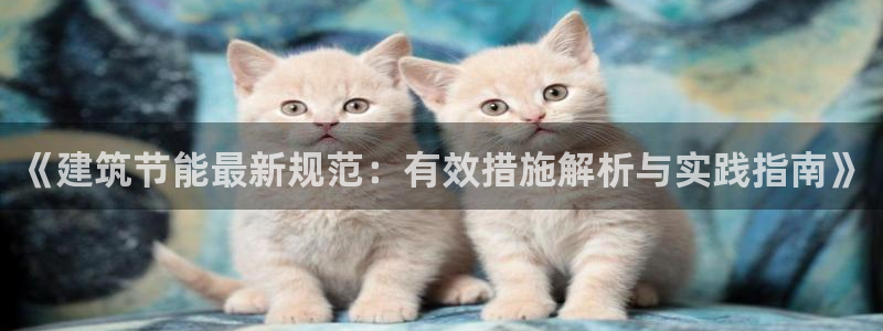 e尊电竞：《建筑节能最新规范：有效措施解析与实践指南》
