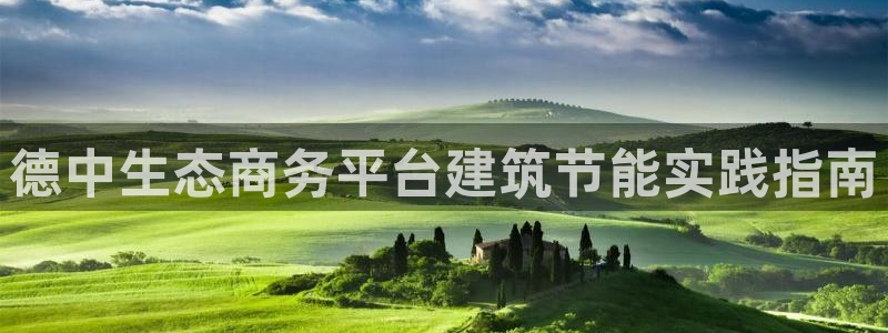 e尊国际官网app：德中生态商务平台建筑节能实践指南