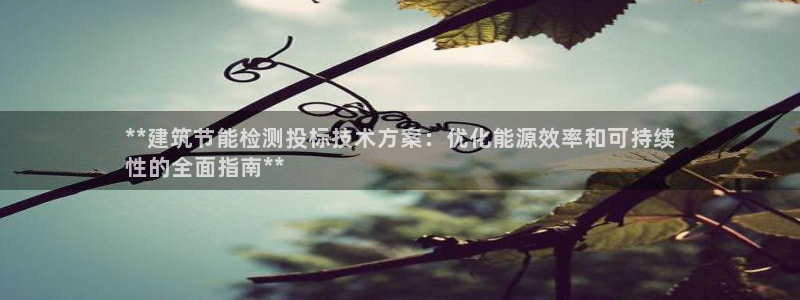 e尊国际客户端下载：**建筑节能检测投标技术方案：优化能源效率和可持续
性的全面指南**