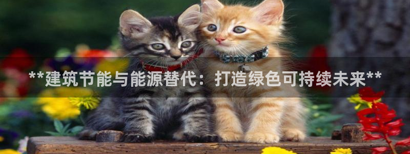 e尊国际-可可计划：**建筑节能与能源替代：打造绿色可持续未来**