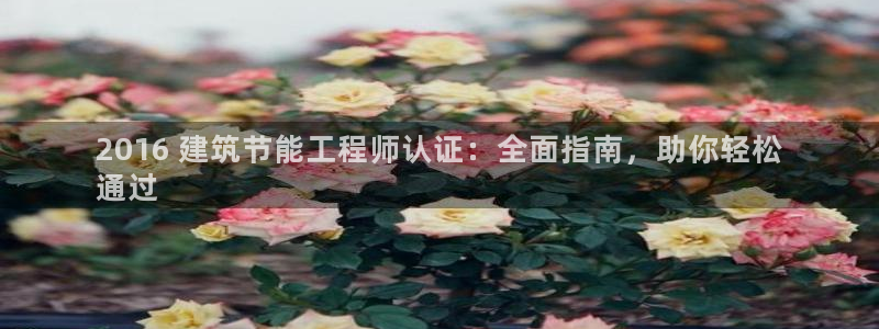 e尊国际-e尊国际官网：2016 建筑节能工程师认证：全面指南，助你轻松
通过
