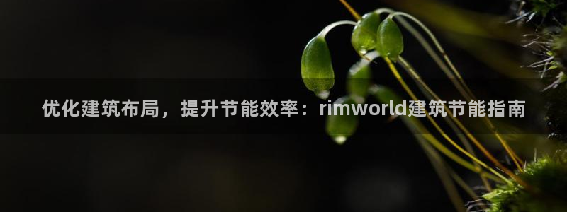 e尊国际客户端下载：优化建筑布局，提升节能效率：rimworld建筑节能指南