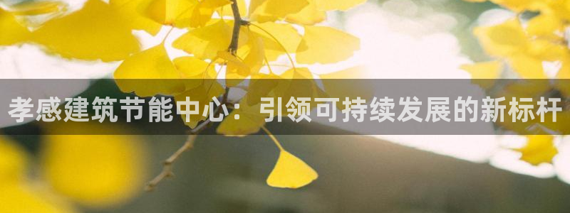 e尊国际app：孝感建筑节能中心：引领可持续发展的新标杆
