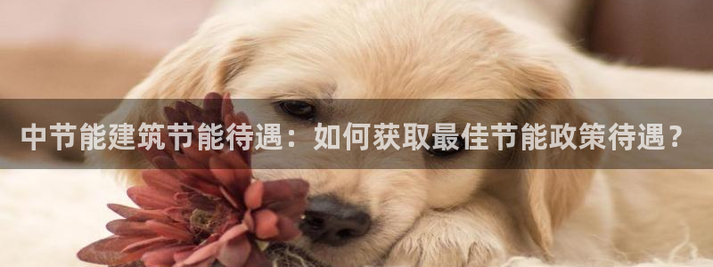E尊国际：中节能建筑节能待遇：如何获取最佳节能政策待遇？
