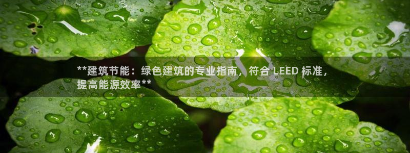 e尊国际平台：**建筑节能：绿色建筑的专业指南，符合 LEED 标准，
提高能源效率**