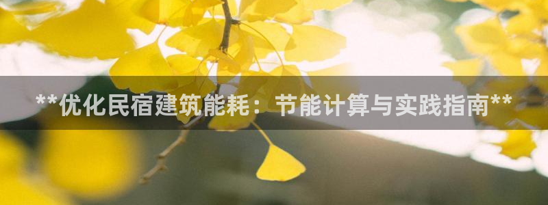 e尊国际是个黑网：**优化民宿建筑能耗：节能计算与实践指南**