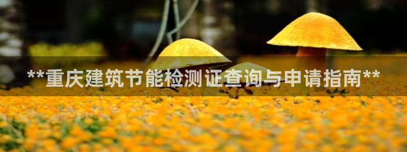 e尊国际客户端：**重庆建筑节能检测证查询与申请指南**