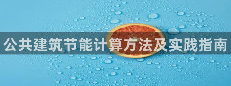 e尊国际app：公共建筑节能计算方法及实践指南