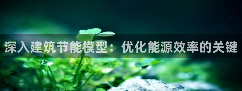 e尊国际客户端下载：深入建筑节能模型：优化能源效率的关键