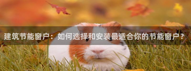 e尊国际可靠吗