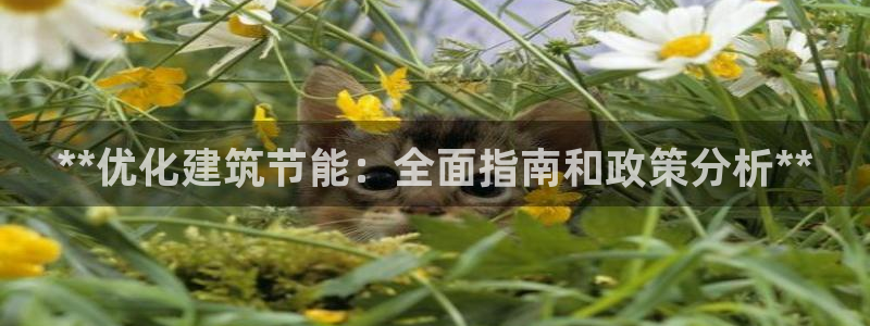 e尊国际7779：**优化建筑节能：全面指南和政策分析**
