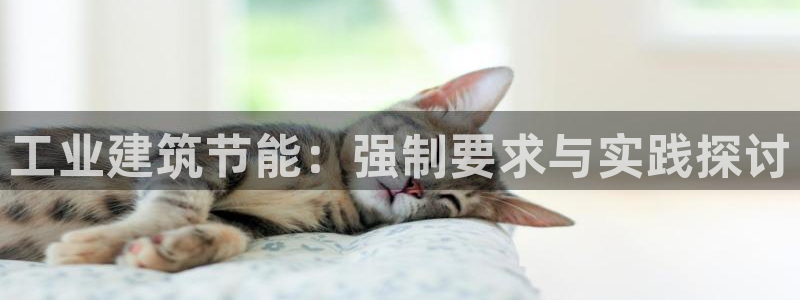 e尊国际娱乐官网下载：工业建筑节能：强制要求与实践探讨